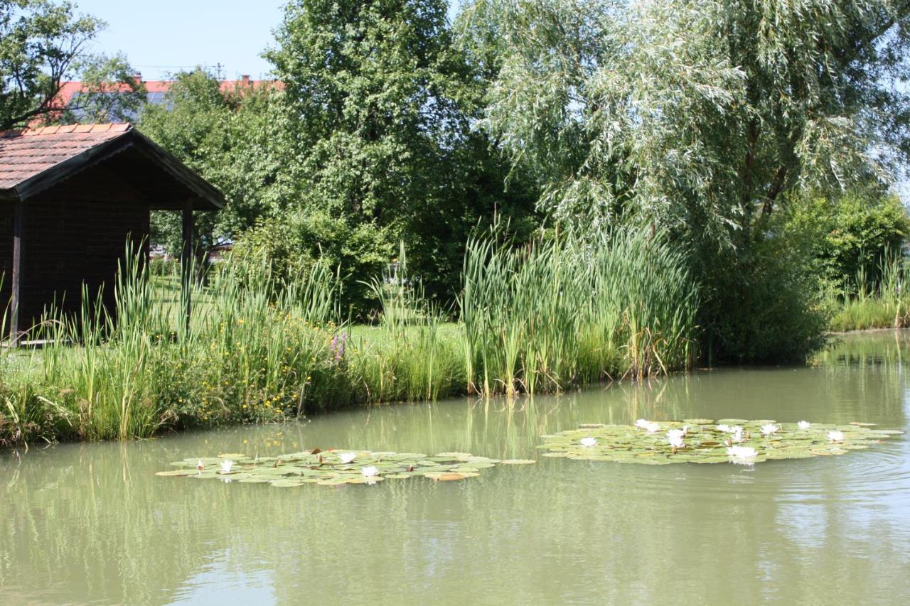 Gasthof Koller Mariasdorf エクステリア 写真